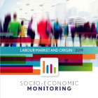 Socio-economic Monitoring 2019: labour market and origin