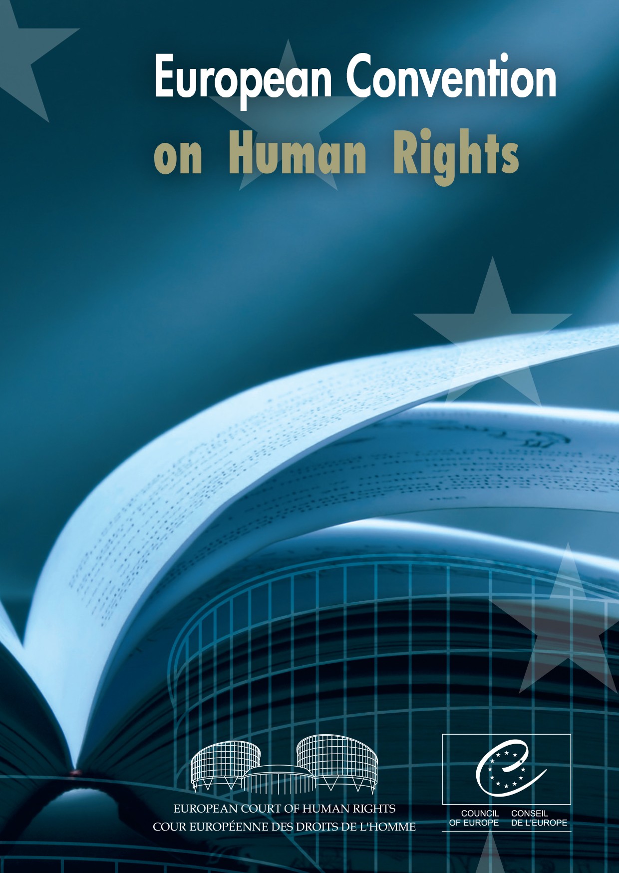 The protection of human rights within the Council of Europe