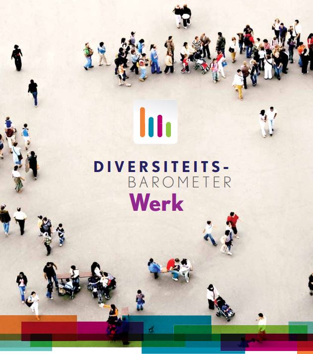 Diversiteitsbarometer Werk (2012)