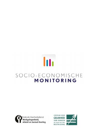 Socio-economische Monitoring: eerste rapport (2013)